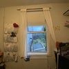 Photo 4: Window and shelves