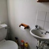 Photo 4: Shower room/ toilet 1