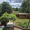 Photo 7: garden and view