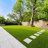 Photo 3: Garden