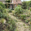 Photo 7: Private garden area