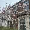 Photo 5: House