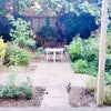 Photo 2: Garden
