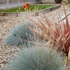 Photo 6: Seasonal Planting