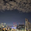 Photo 3: Skyline of O2 & Canary Wharf