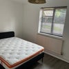 Photo 3: Room (Yours)