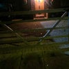 Photo 7: Front door