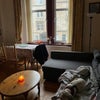 Photo 5: Not my dog (there are no pets in the flat)