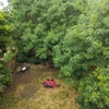 Photo 4: Garden