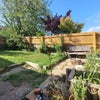 Photo 5: Garden