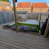 Photo 2: Garden