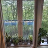 Photo 7: Lounge view 