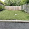 Photo 4: Garden