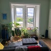 Photo 4: Living room