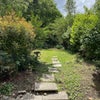 Photo 7: garden