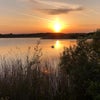Photo 5: St Aidan’s Nature Park
