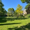Photo 7: Private Garden