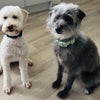 Photo 5: Doris & Peggy