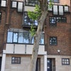 Photo 9: Property