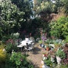 Photo 6: Garden