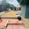Photo 9: SHARED GARDEN