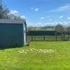 Photo 6: View in the garden