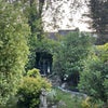 Photo 5: Garden
