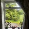 Photo 8: Room with a view