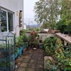 Photo 5: Balcony garden