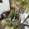 Photo 6: Patio Rear Garden - South facing