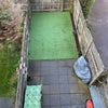 Photo 5: Garden