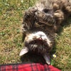 Photo 7: SUGAR!