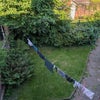 Photo 4: Garden