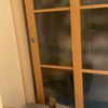 Photo 5: walk in wardrobe