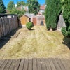 Photo 8: Garden