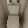 Photo 8: Extra toilet