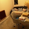 Photo 3: Bedroom