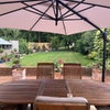 Photo 7: Garden