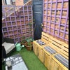 Photo 2: Patio garden