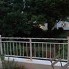 Photo 8: View over the Garden from Balcony