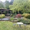 Photo 8: Garden