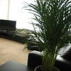 Photo 2: Living Room