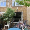 Photo 5: Garden