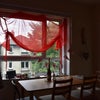 Photo 4: Living room