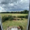 Photo 5: Garden view