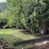 Photo 5: Garden