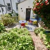 Photo 8: Rear Garden
