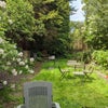 Photo 5: Garden