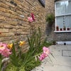 Photo 9: Garden views