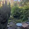 Photo 7: Garden and patio